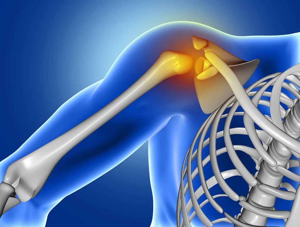 Rotator Cuff Relief: Solutions for Shoulder Pain Medical Blog 3D medical image of shoulder bone