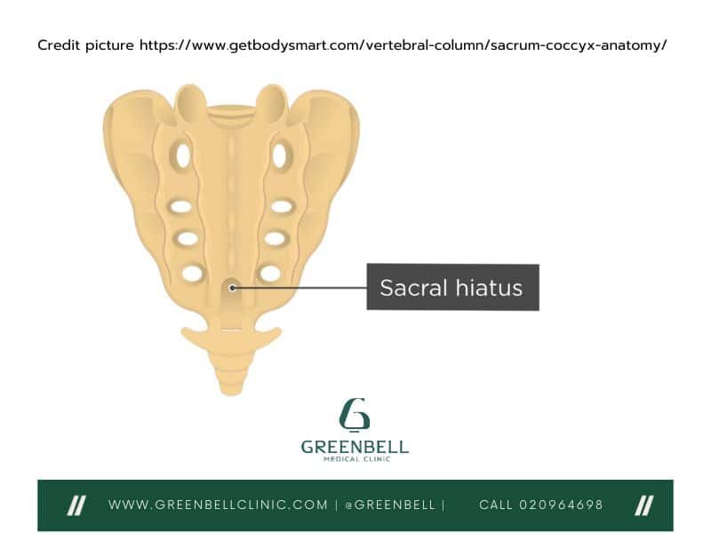 sacrum,lower spine, Greenbell Clinic