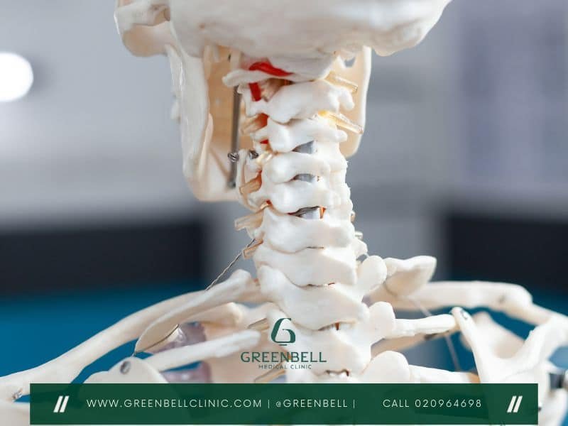 Spine, Greenbell Clinic