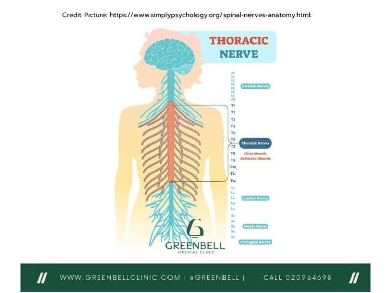 บทความทางการแพทย์, Greenbell Clinic