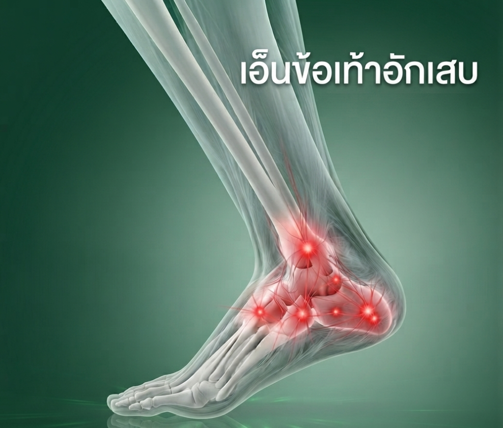 เอ็นข้อเท้าอักเสบ,ankle tendons, Greenbell Clinic