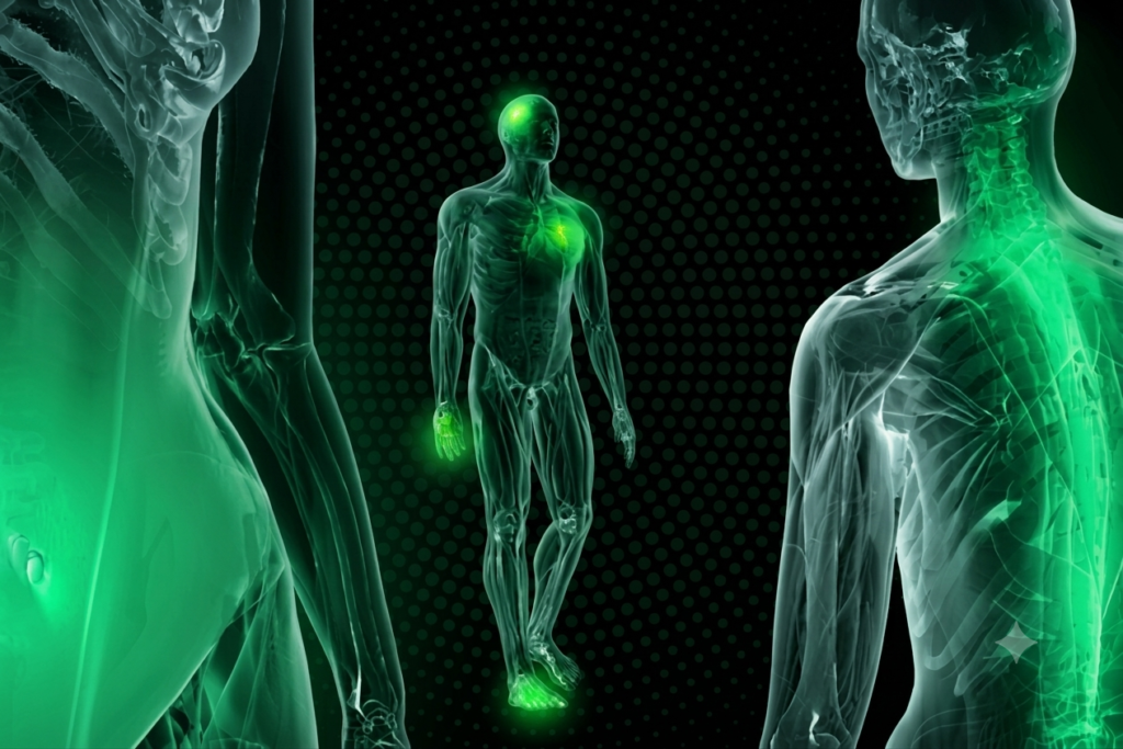 Muscle Inflammation,Physical Therapy