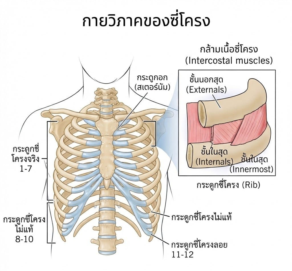 เจ็บชายโครงเวลาหายใจ